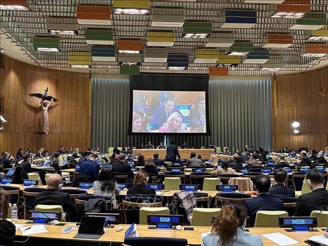 Vietnam contributes to Global Digital Compact formulation